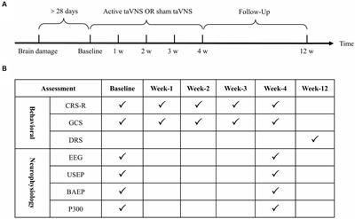 The efficacy and safety of transcutaneous auricular vagus nerve stimulation for patients with minimally conscious state: a sham-controlled randomized double-blind clinical trial